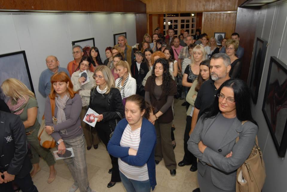 Loznica,Museum  Jadra,  independent exhibition of pictures, 2013